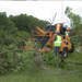 Crew removing broken branches from the floor