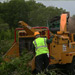 Disposing of broken branches with a wood chipper