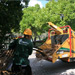 Arborcare crew feeding dead branches to the wood chipper