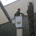 Crew member working on a palm tree several feet in the air