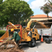 Disposing of dead leaves with a wood chipper